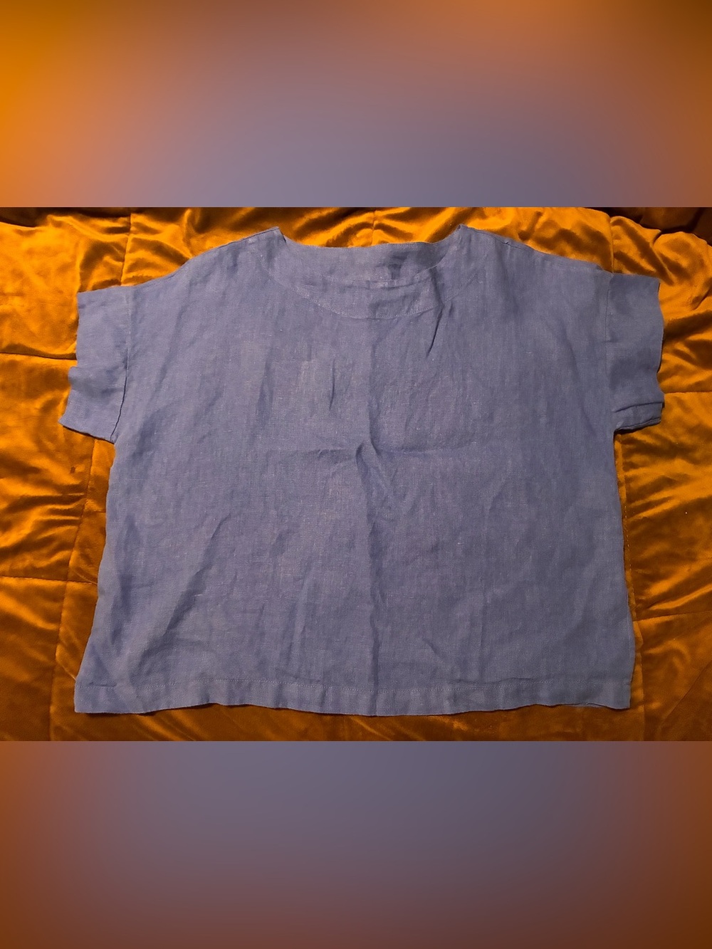 bryn Walker Short-Sleeve 100% Linen Blue Top, size xxs, very oversized
